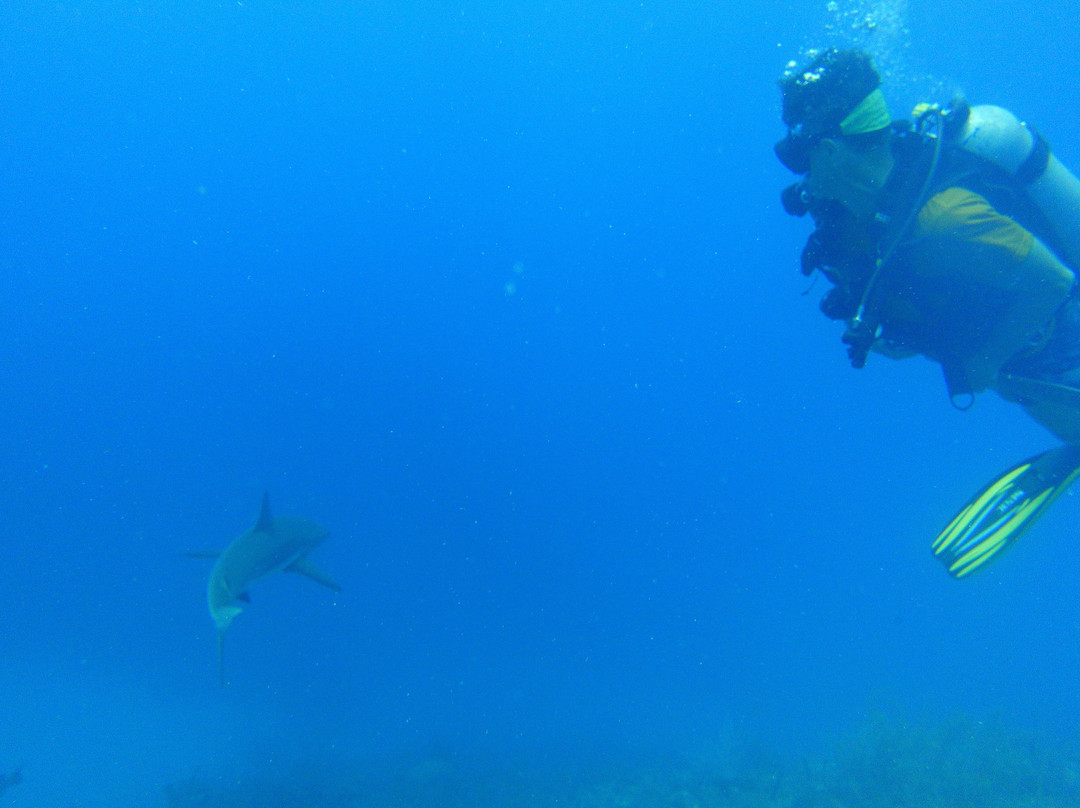 Anda Di Wata Dive School景点图片