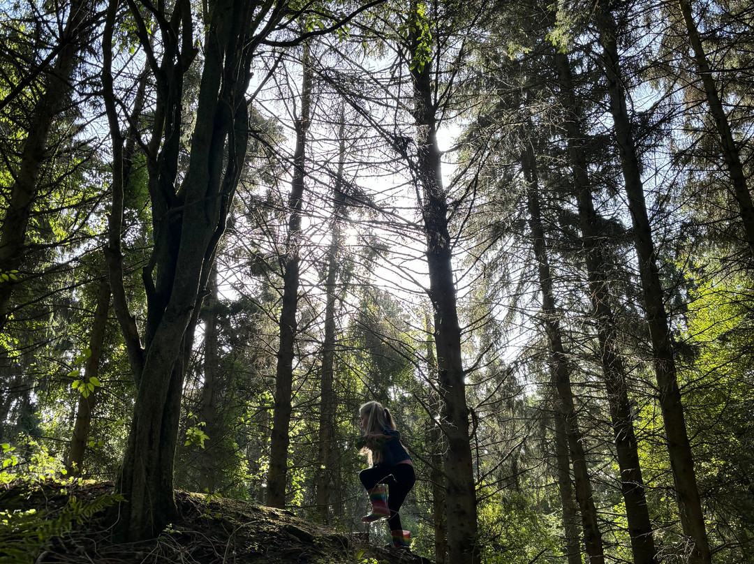 Ufton Fields Nature Reserve景点图片