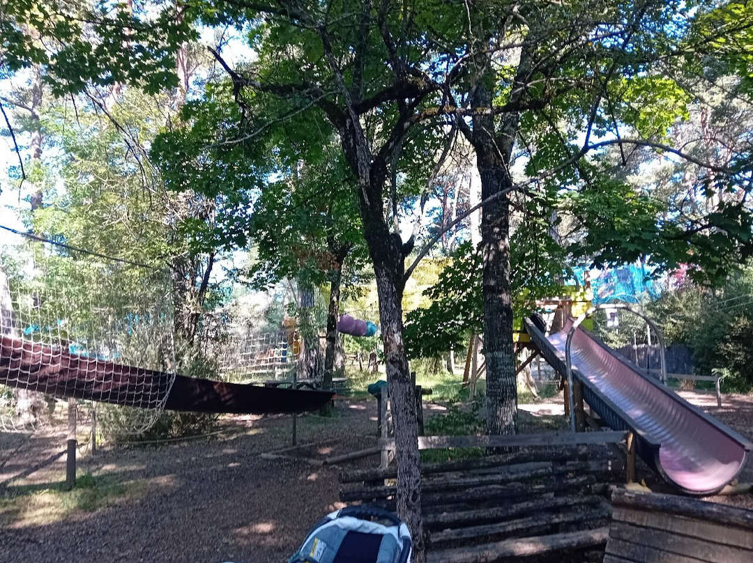 Arbo'Magic景点图片