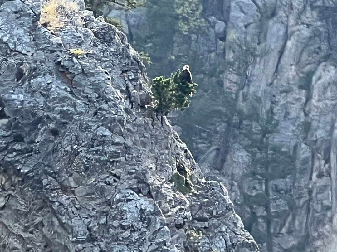 Gates of the Mountains-赫勒拿必去景点