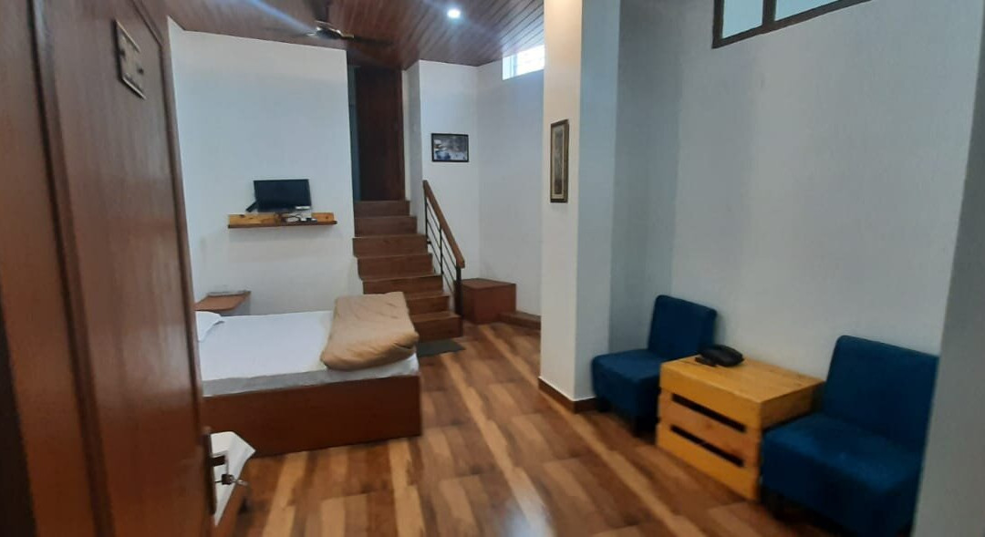 Experto The Greens主图