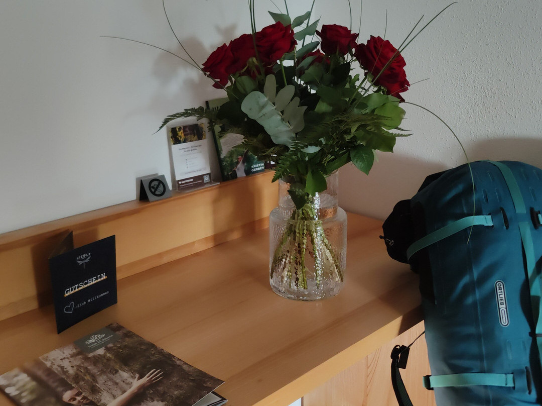 Hotel Fritz - Das Hotel der Bäume主图