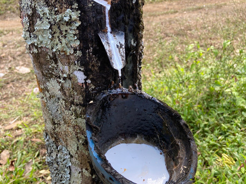 Kalibendo Eco Tourism-巴纽旺宣必去景点