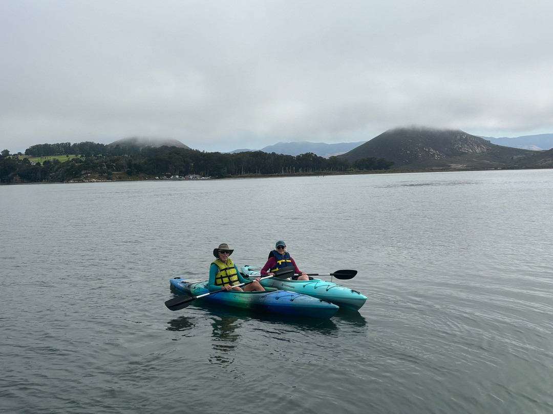 Kayak Shack景点图片