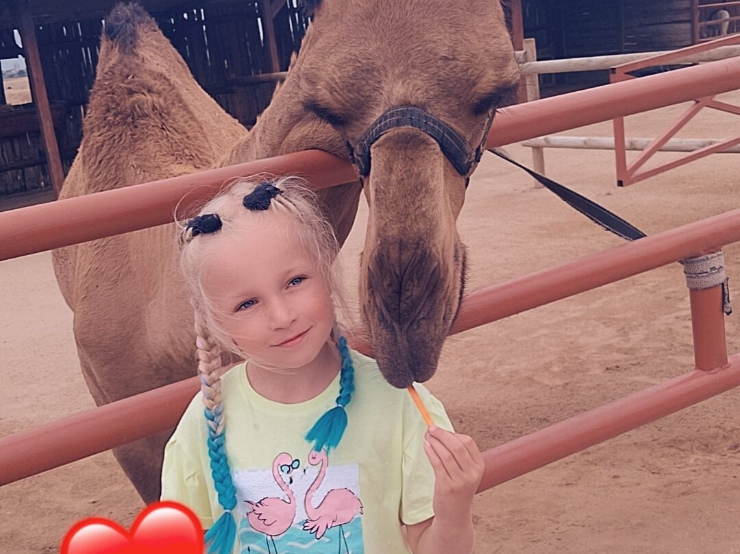 Camel Park Sunny Beach景点图片