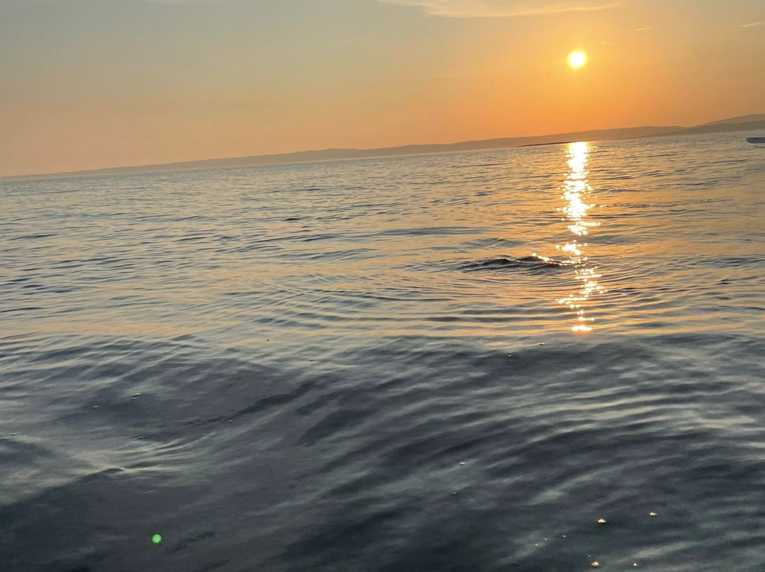Northern kayak adventures Croatia景点图片