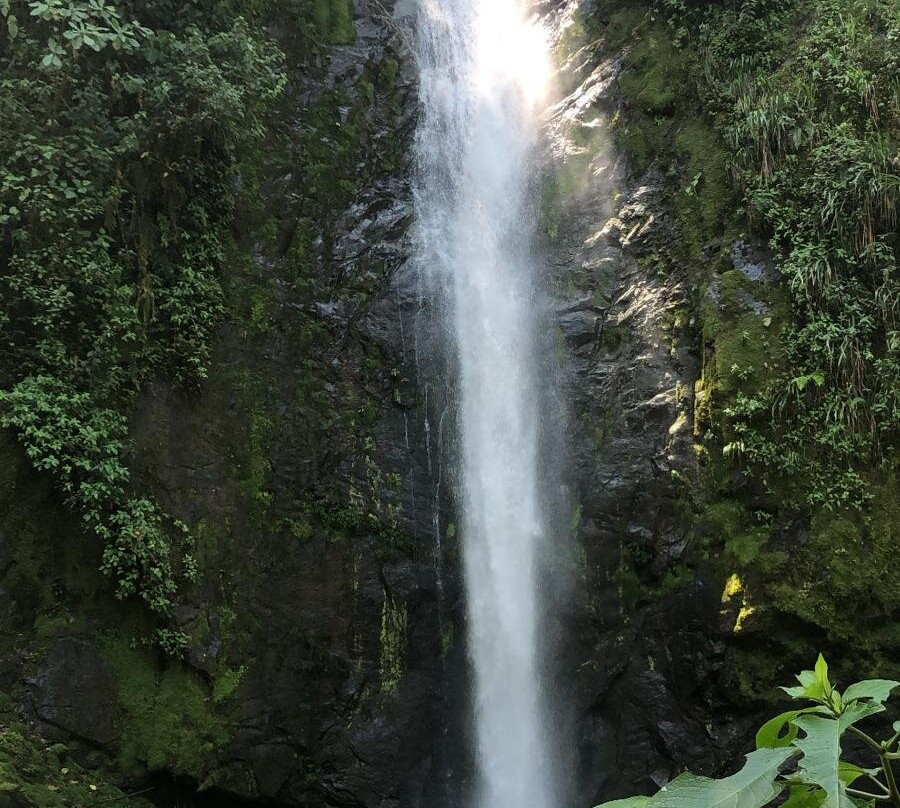 Rio Bravo Reserve-明多必去景点