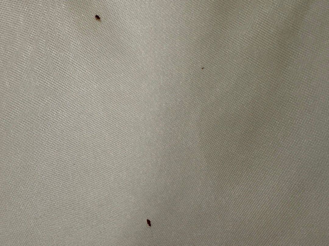 Quality Inn Arnprior主图