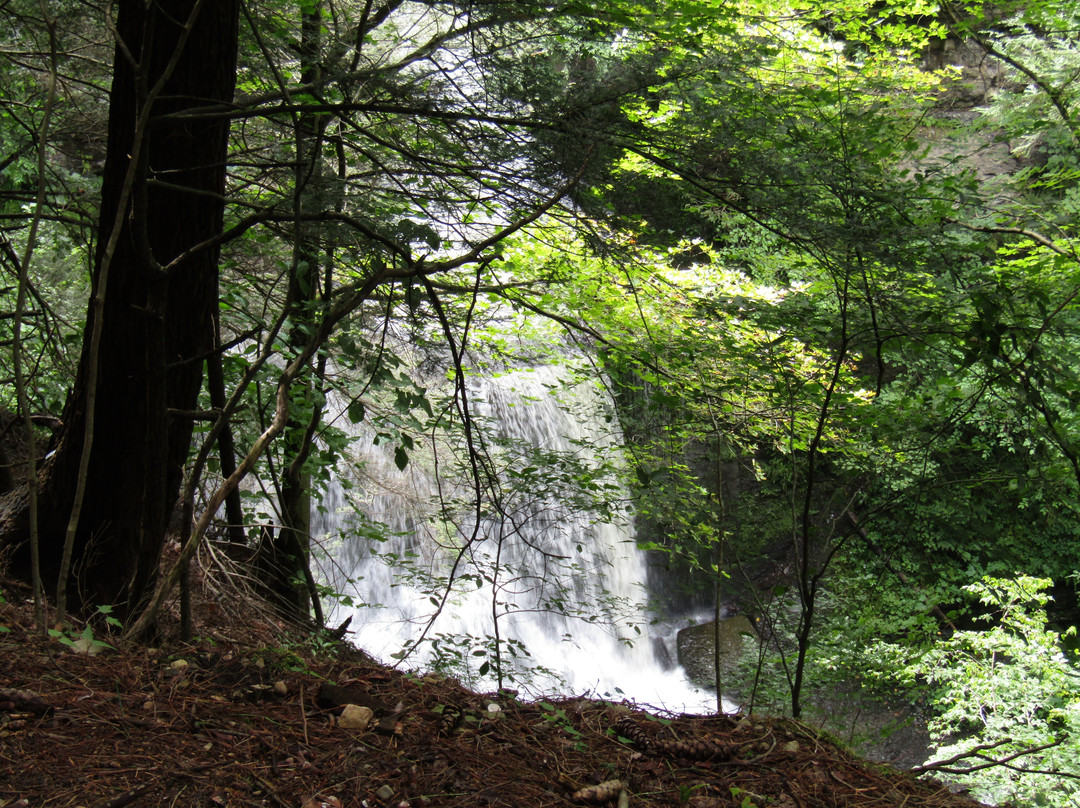 Fillmore Glen State Park景点图片