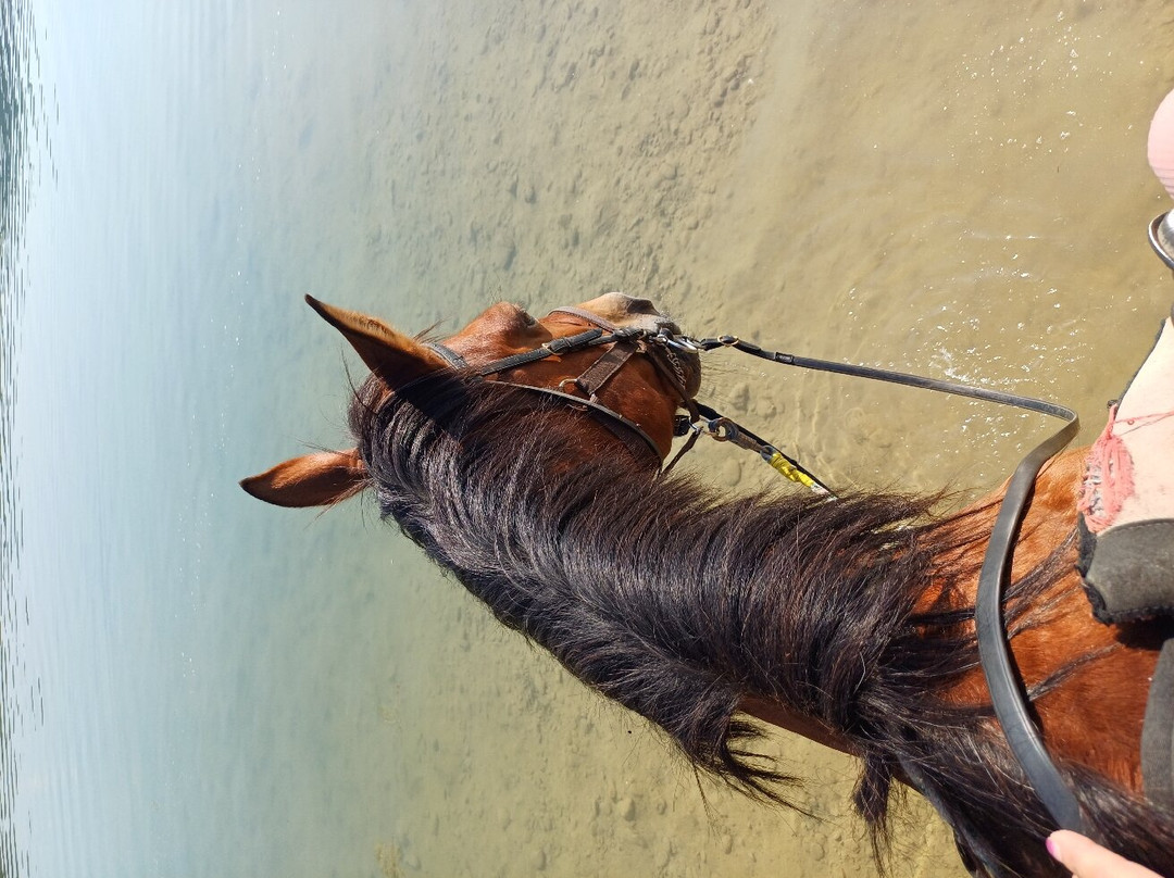 Les Chevaux du Verdon景点图片