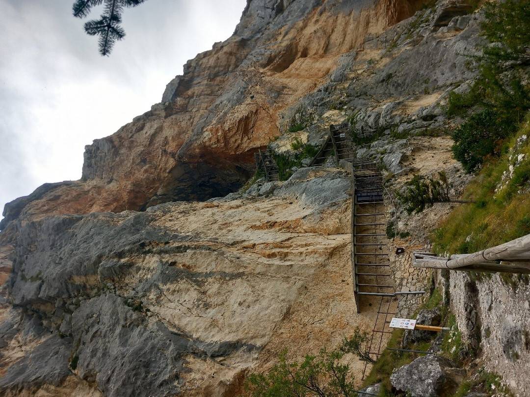 Grotte del Cavallone景点图片