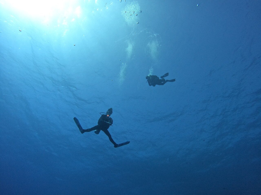 Pharaoh Dive Club-艾尔可西利亚必去景点