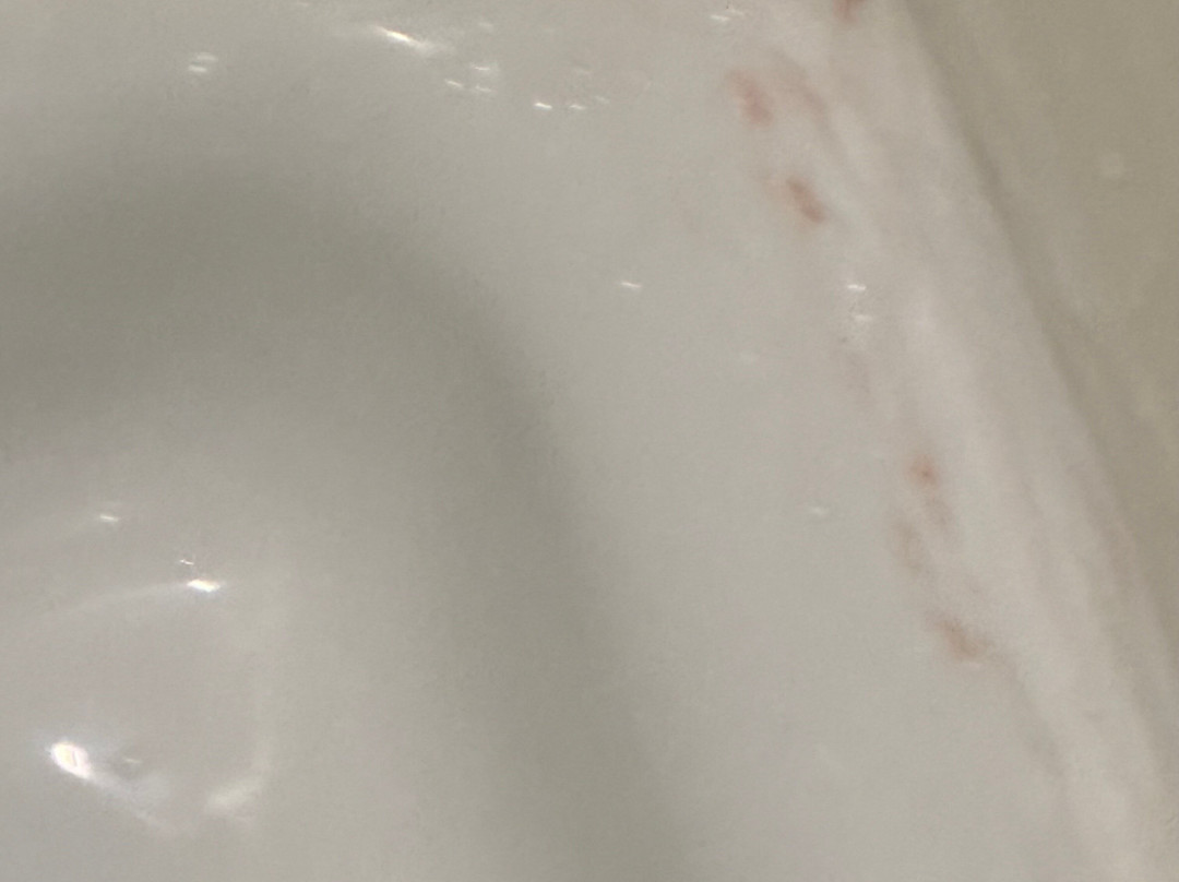 SpringHill Suites by Marriott Pittsburgh Latrobe主图