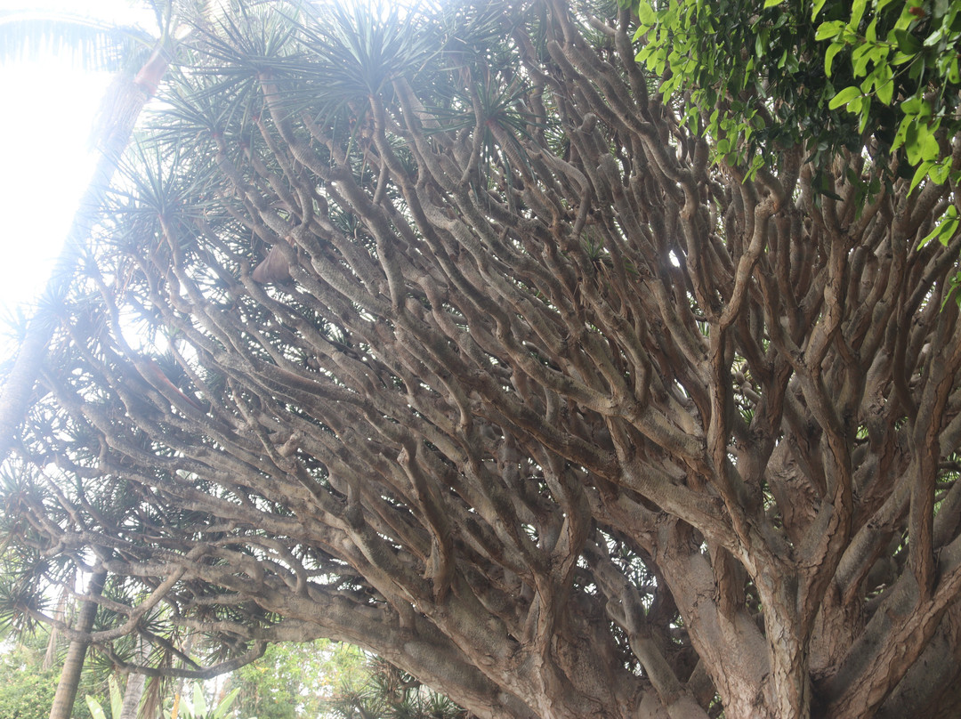 Jardines de la Marquesa景点图片