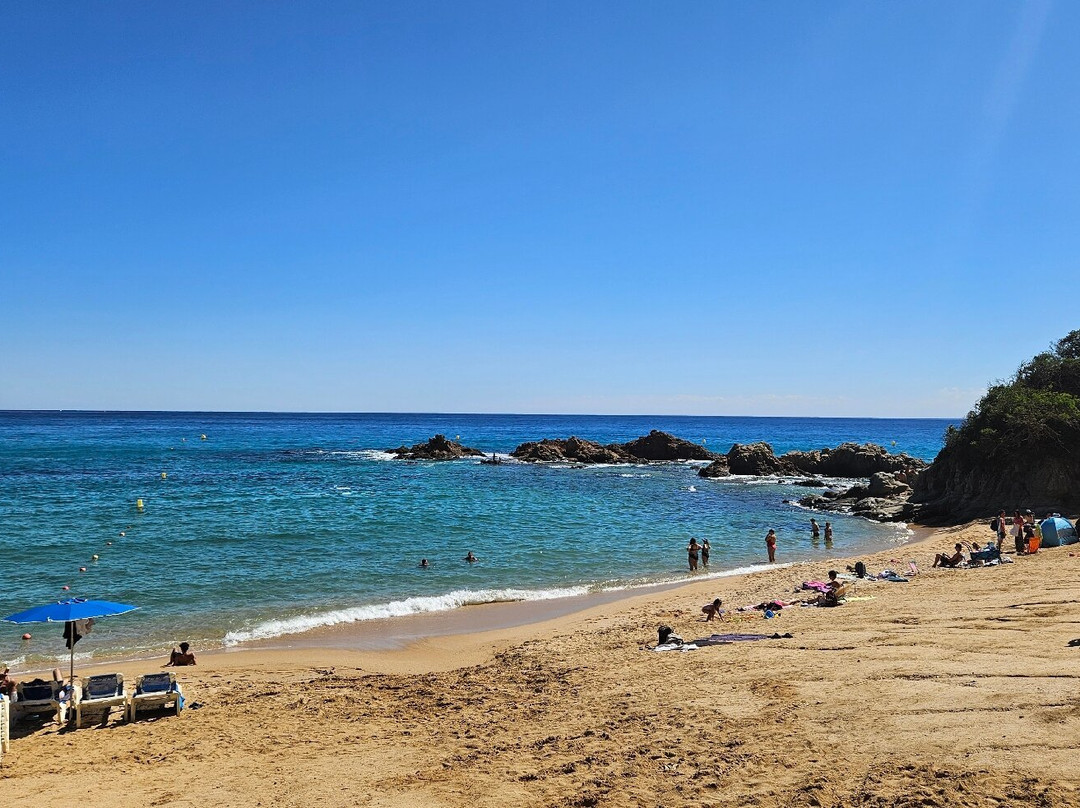 Playa de Santa Cristina景点图片