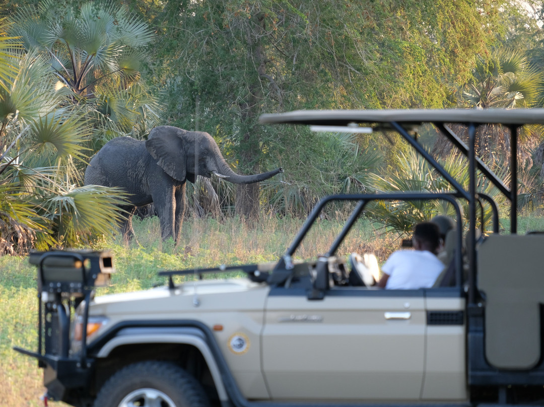 Chicari Camp (Gorongosa Safaris)