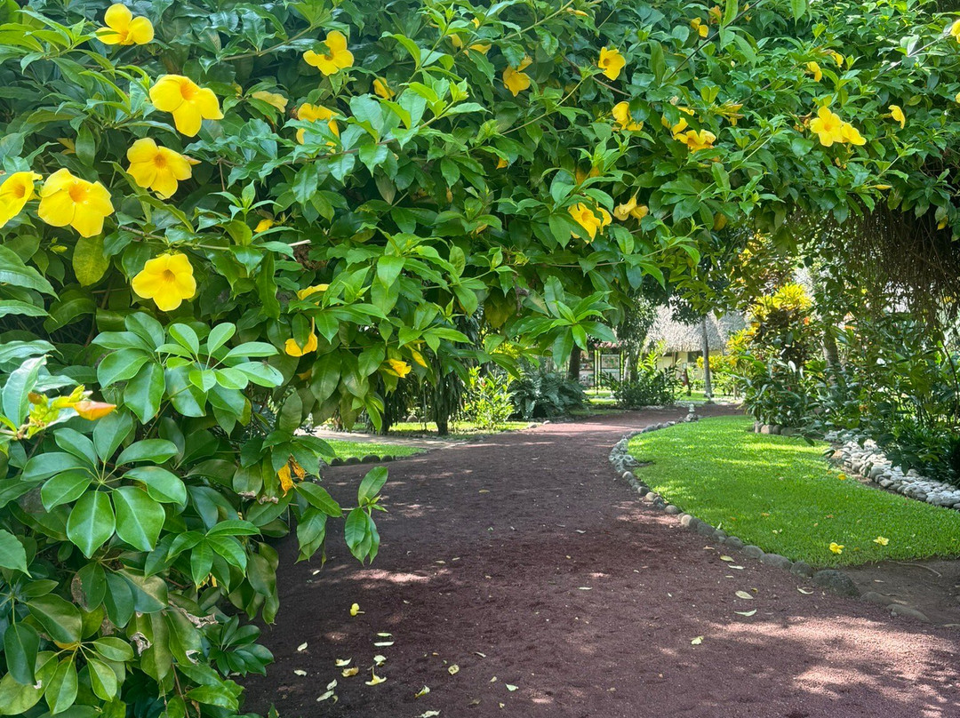 Picocanoa Rodavento主图