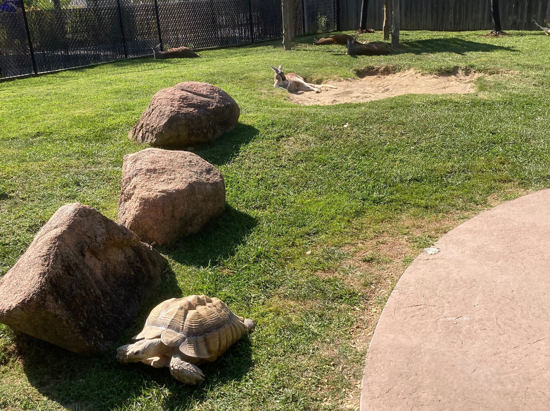 Riverwalk-辛辛那提必去景点