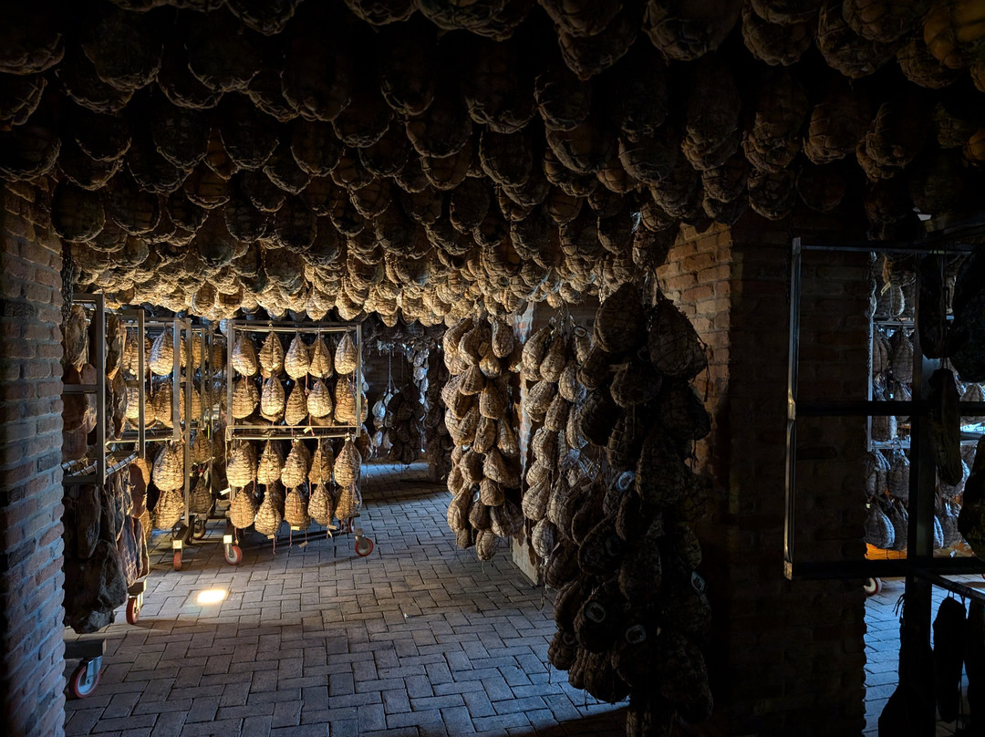 Parma Golosa Gourmet Tours-帕尔马必去景点