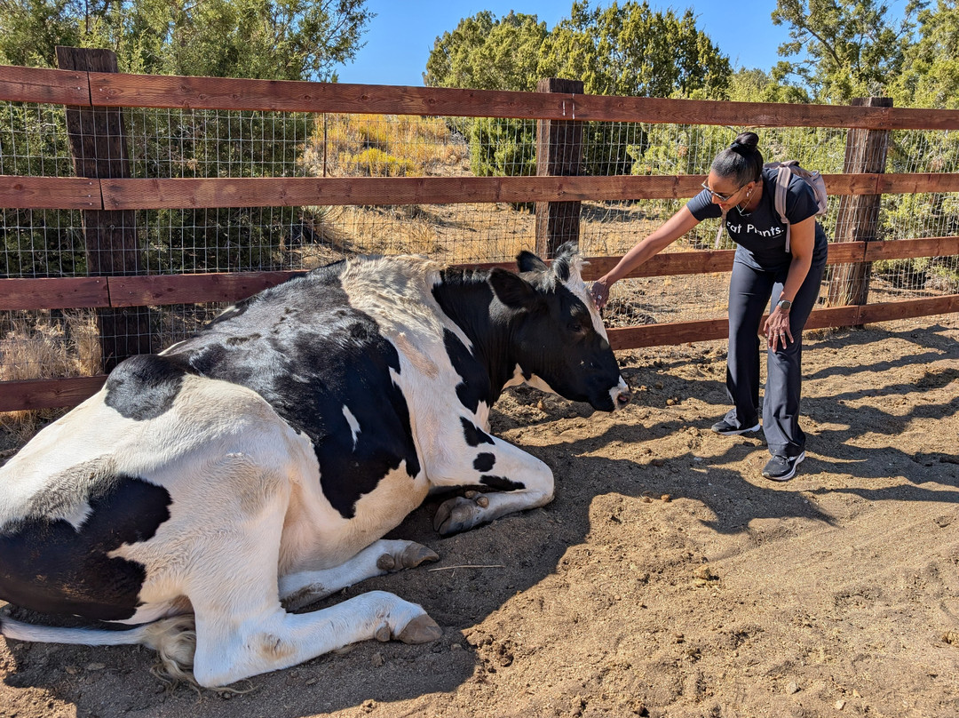 Farm Sanctuary景点图片