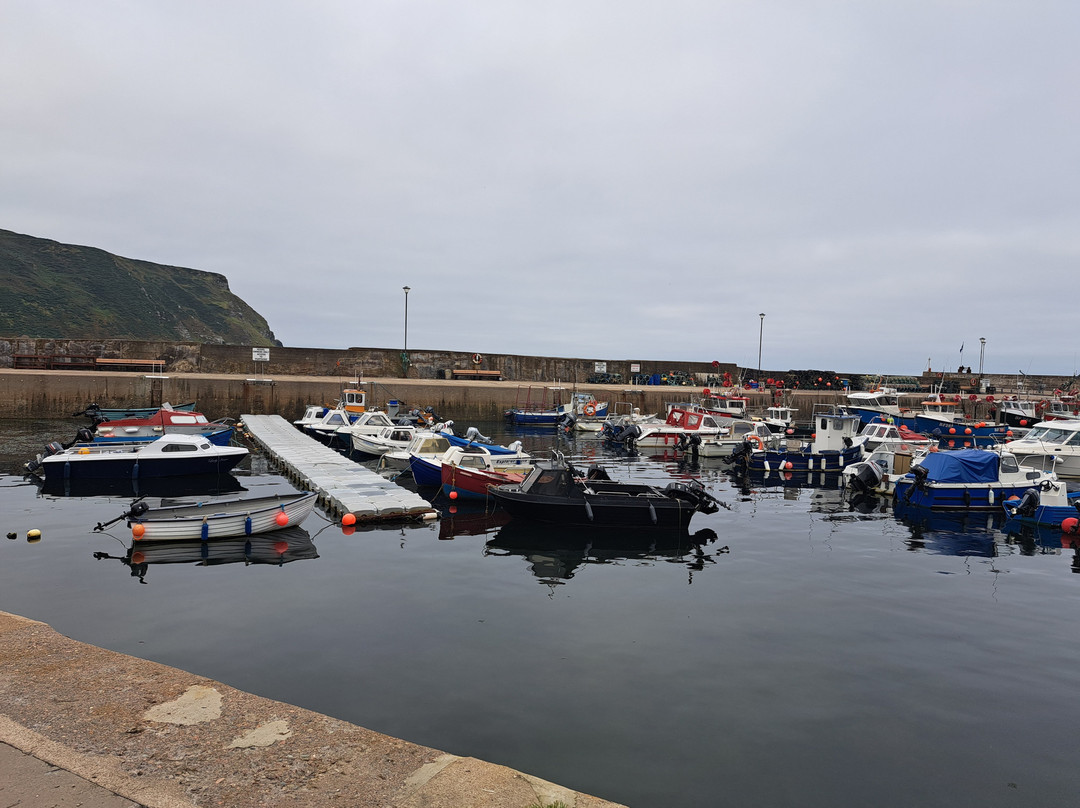 Gardenstown Beach景点图片