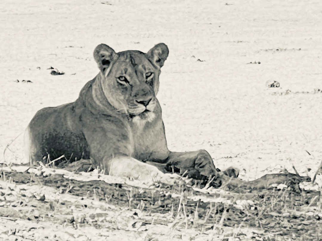 Ride Zimbabwe-布拉瓦约必去景点