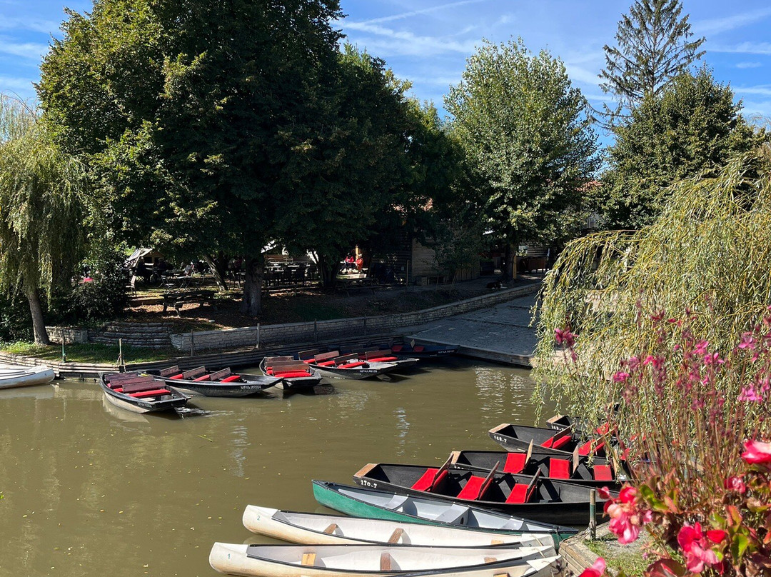 Embarcadère de la Venise Verte景点图片