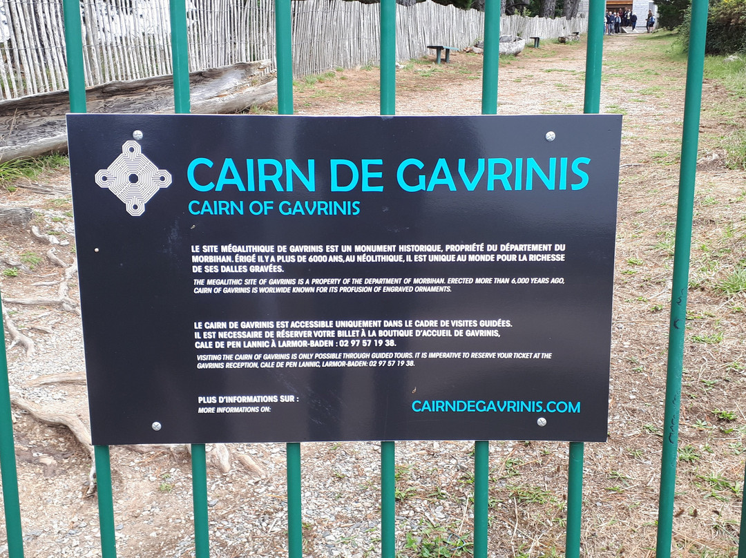 Cairn de Gavrinis景点图片