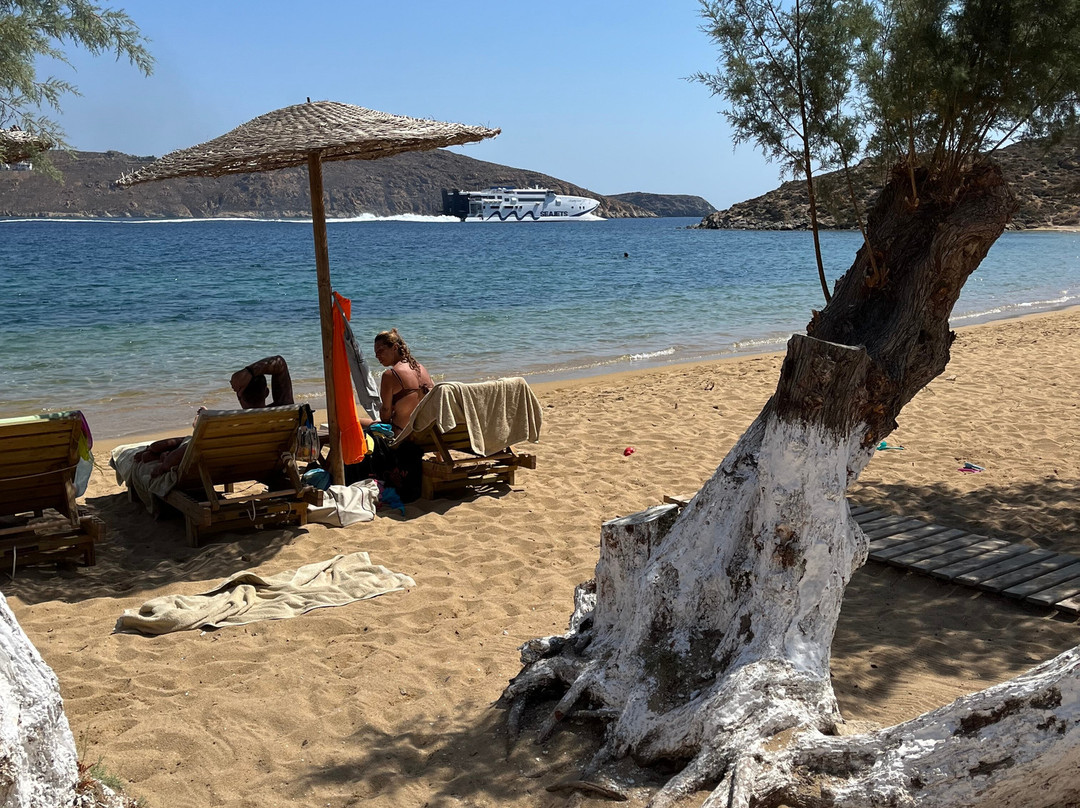 Coralli Bungalows主图