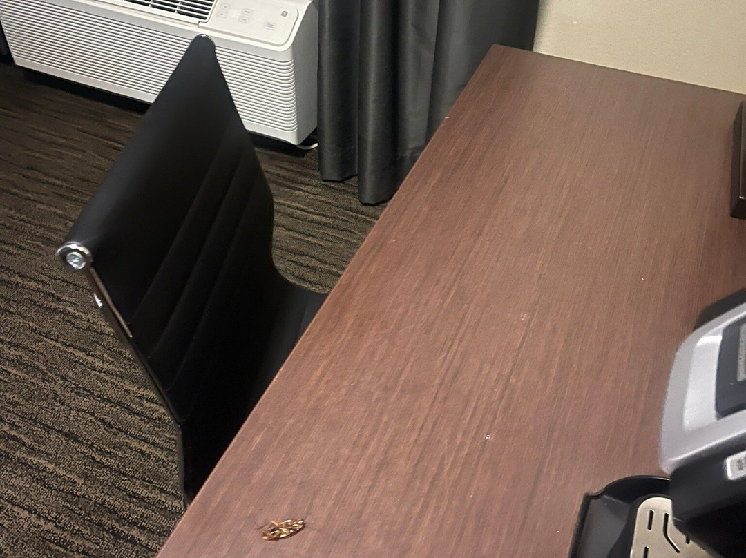 Best Western Plus Classic Inn & Suites主图