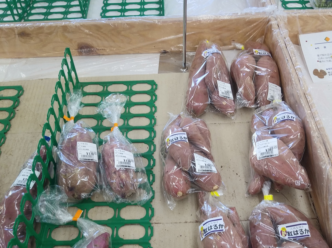 Morning Taking Farm Komago-日高市必去景点