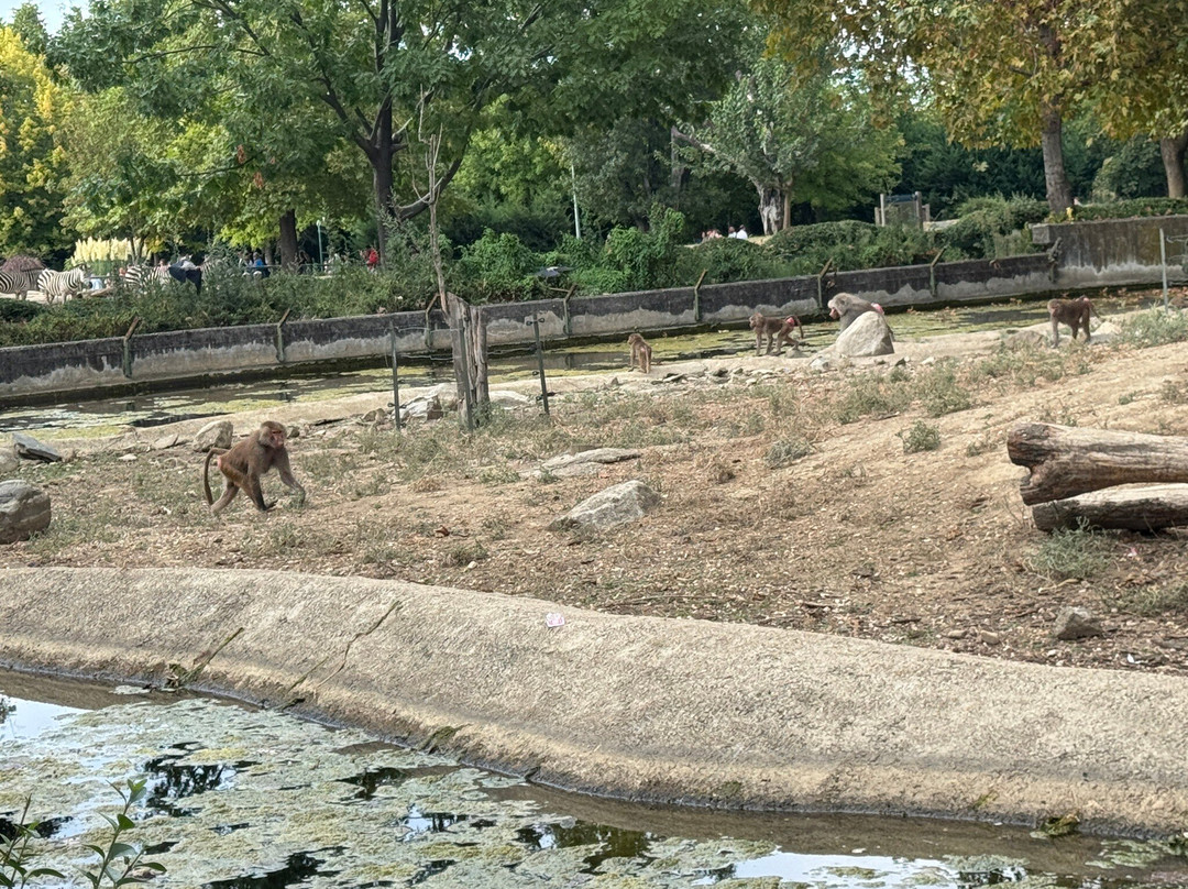 Bursa Zoo-布尔萨必去景点