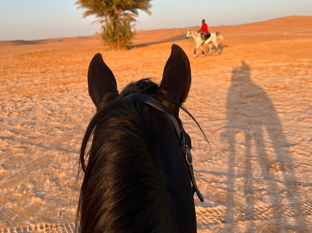 Al Manaf-艾因市必去景点