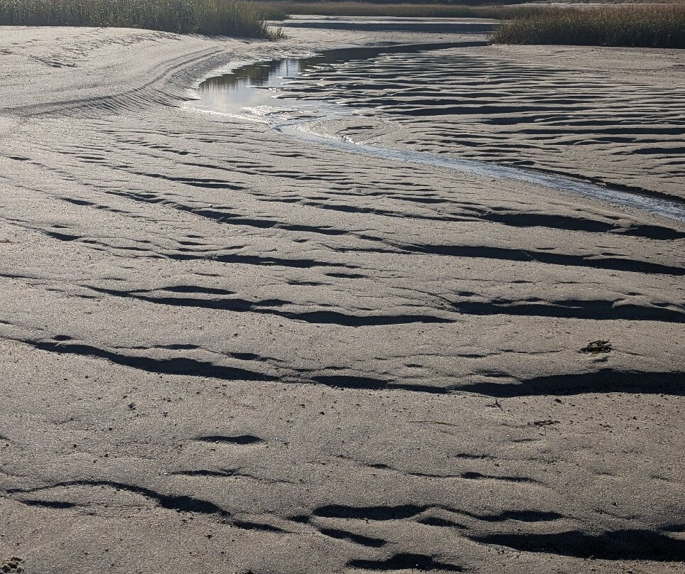 Paine's Creek Beach景点图片