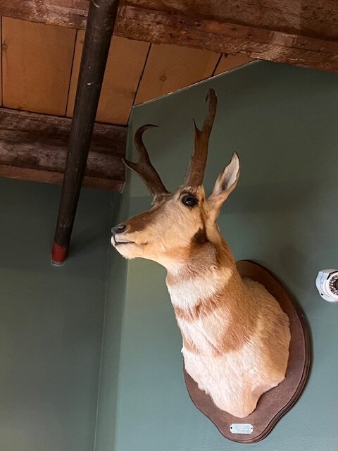 The Common Man Inn & Spa-官方