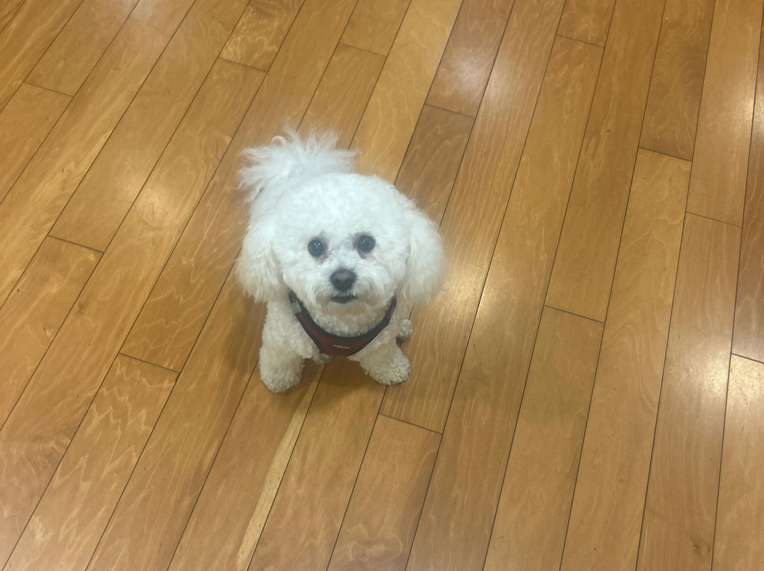 哥伦布市建筑中心英迪格酒店主图