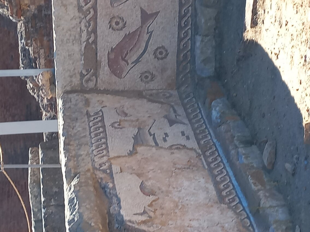 Nucleo Museologico da Villa Romana de Milreu景点图片