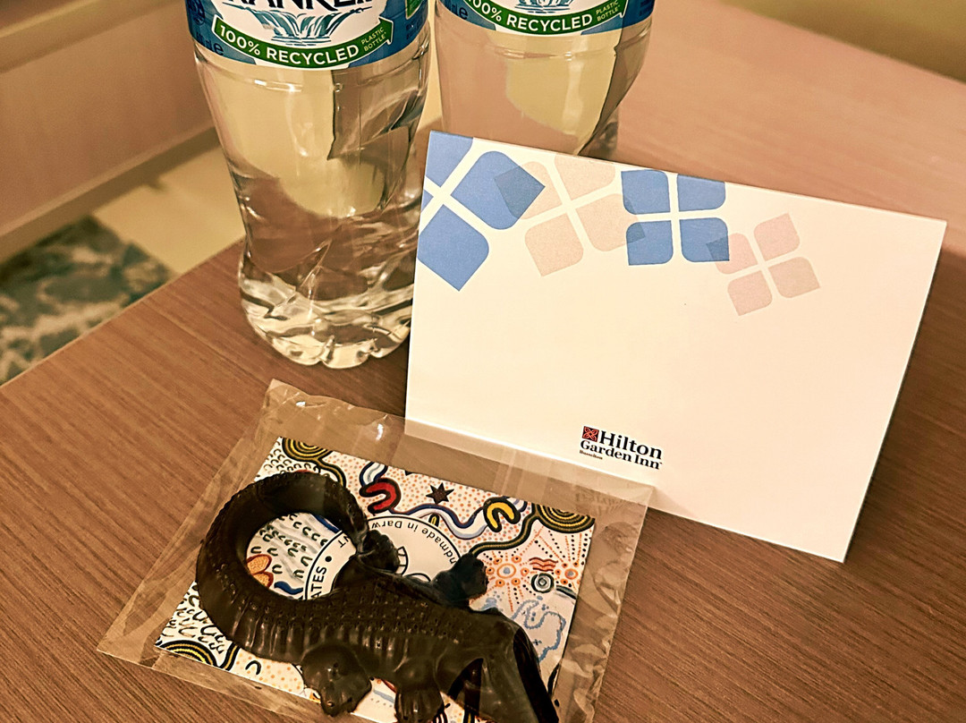 Hilton Garden Inn Darwin主图