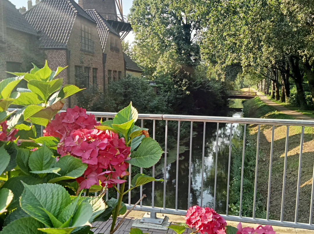 Kalkarer Mühle am Hanselaerer Tor景点图片