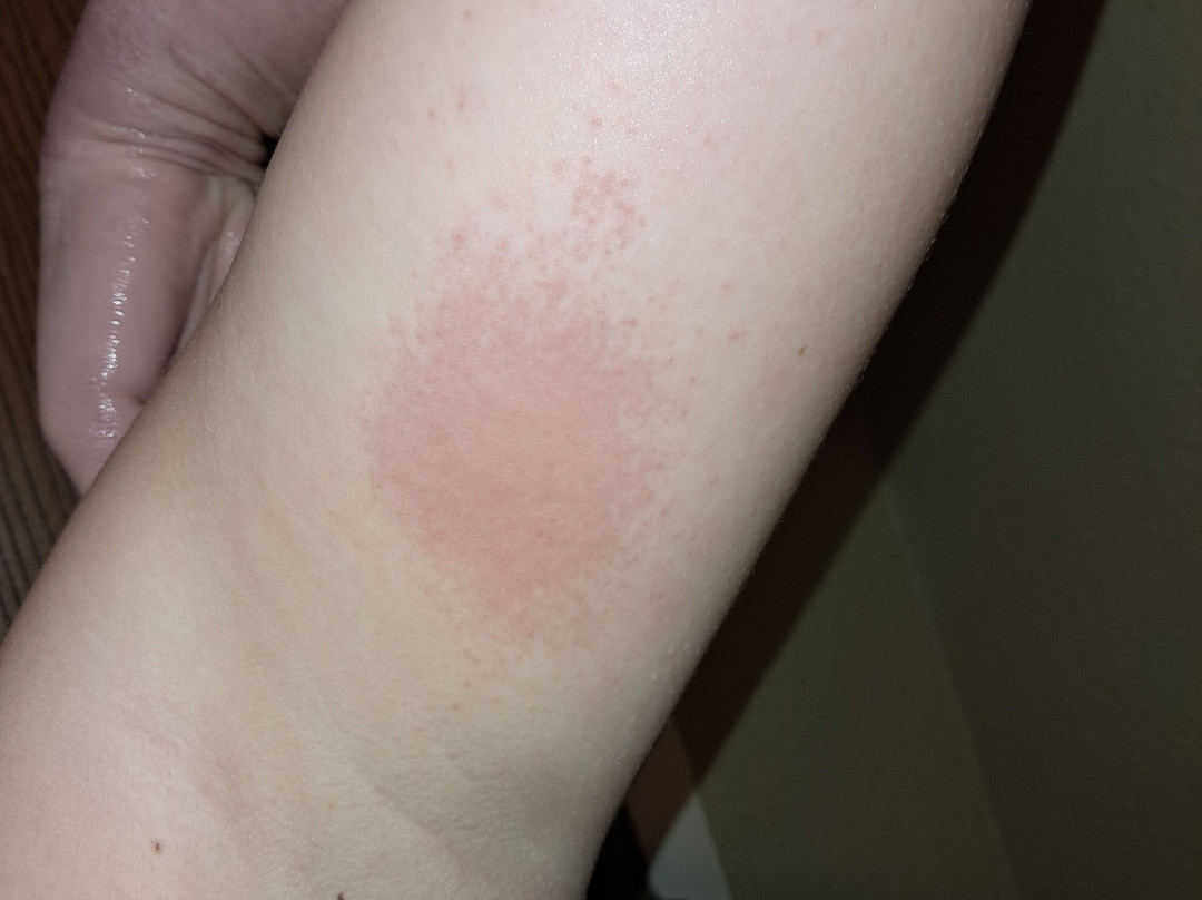 Comfort Inn & Suites主图