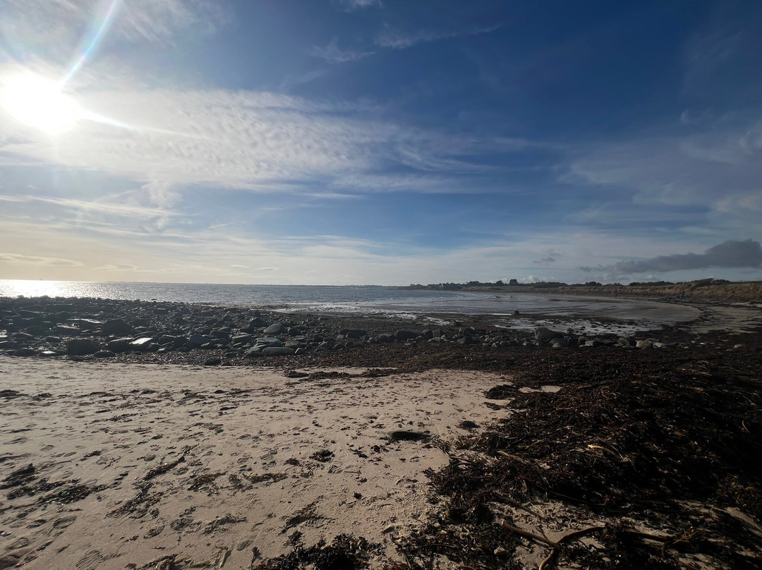 Alnmouth Beach-Alnmouth必去景点
