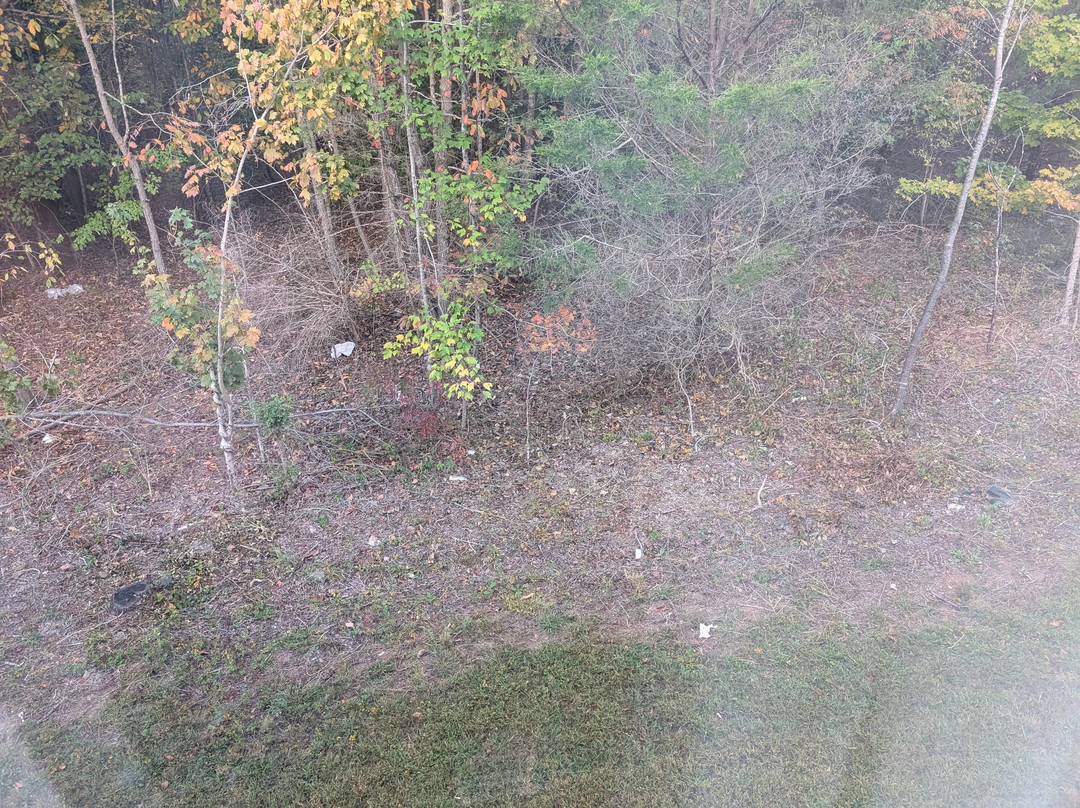 Quality Inn Clarksville - Exit 11主图