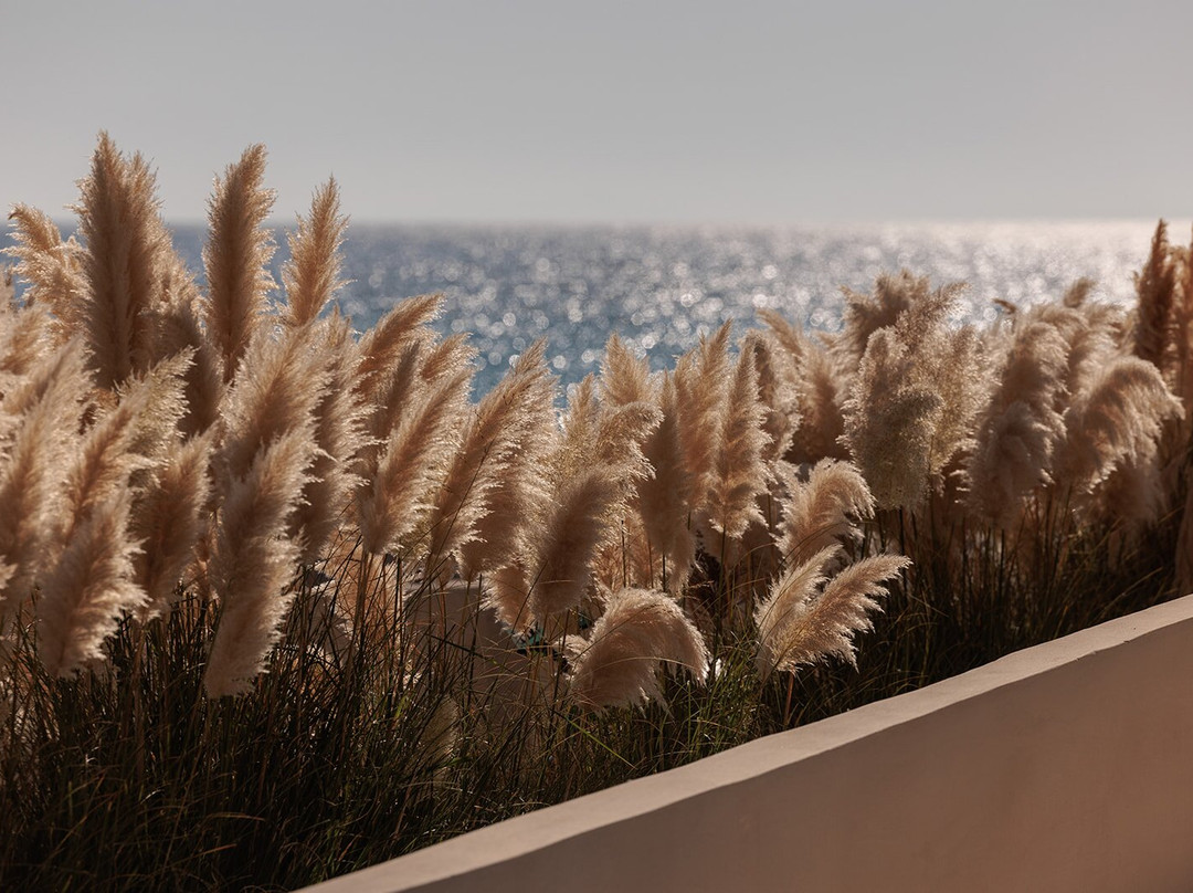 Eden Beachfront Residences & Suites主图