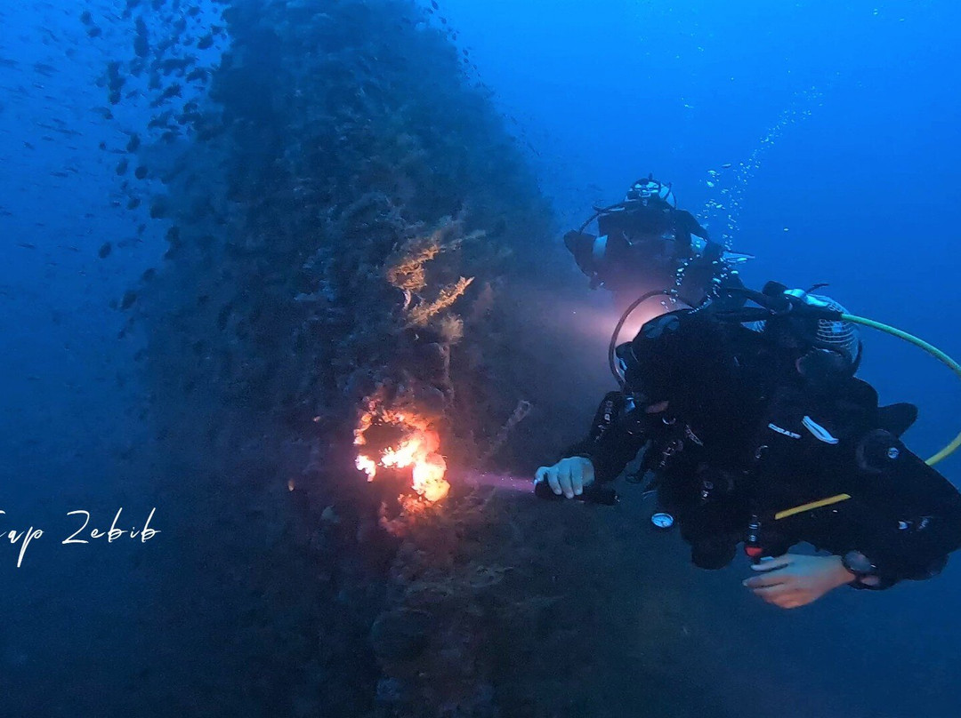Mouja Diving Club-比塞大必去景点