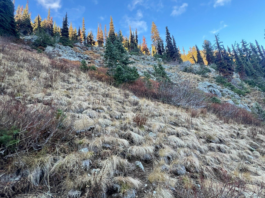 Maple Pass Loop景点图片