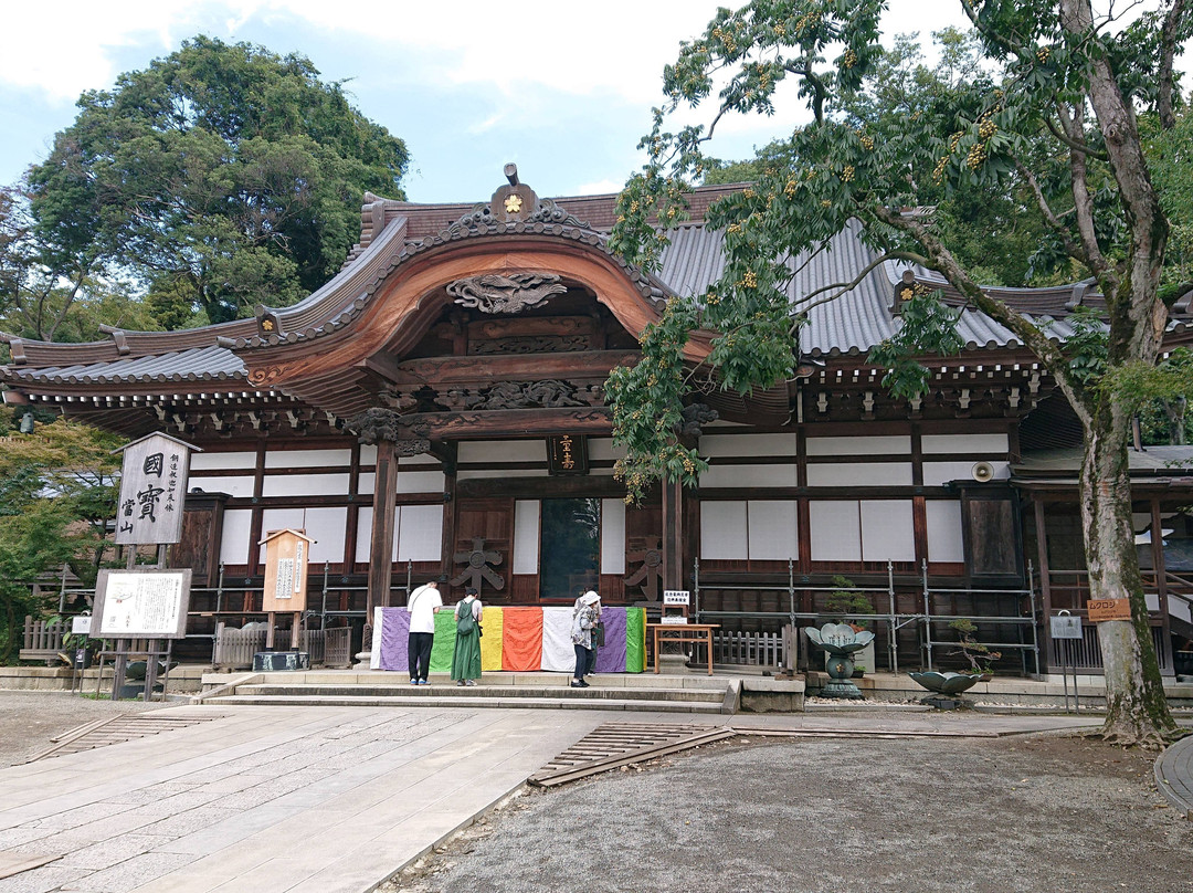 Jindai-ji Temple-调布市必去景点