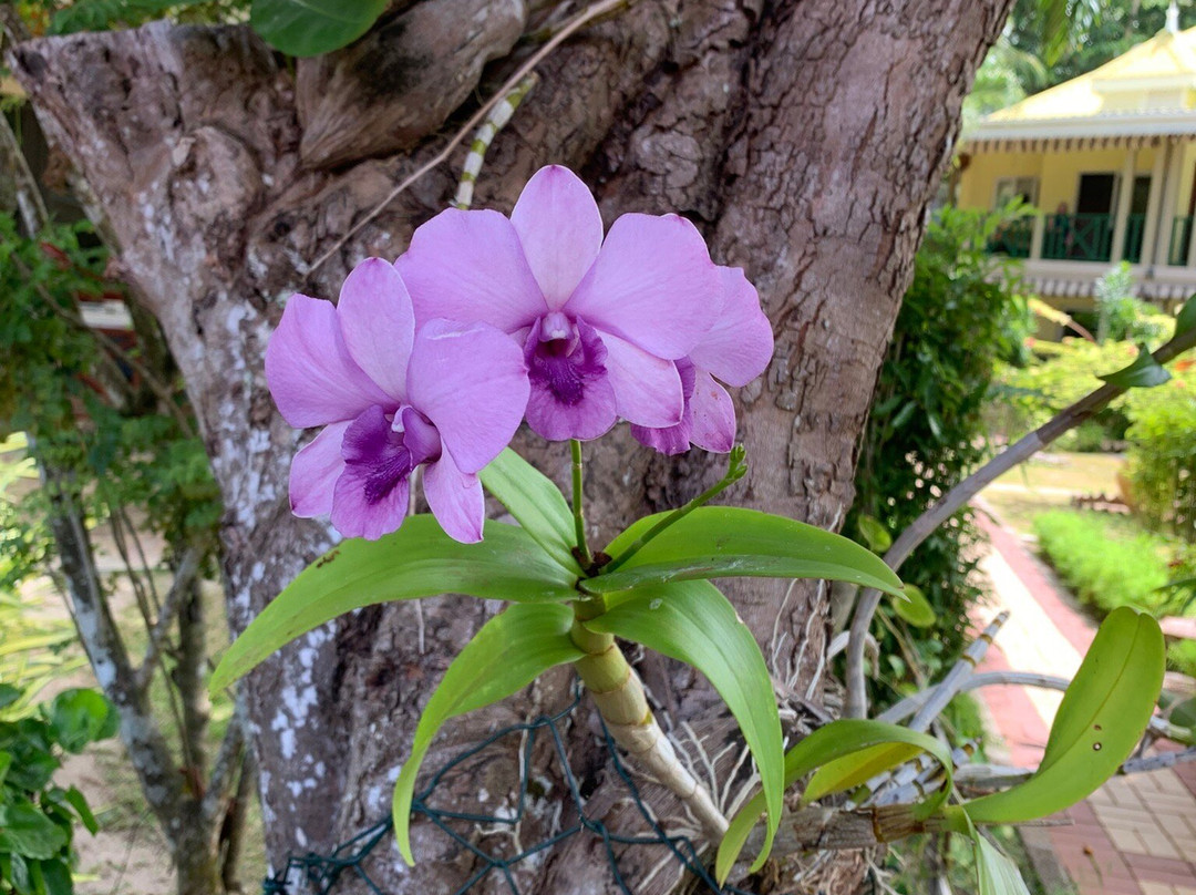 卡萨德里拉自助旅馆主图