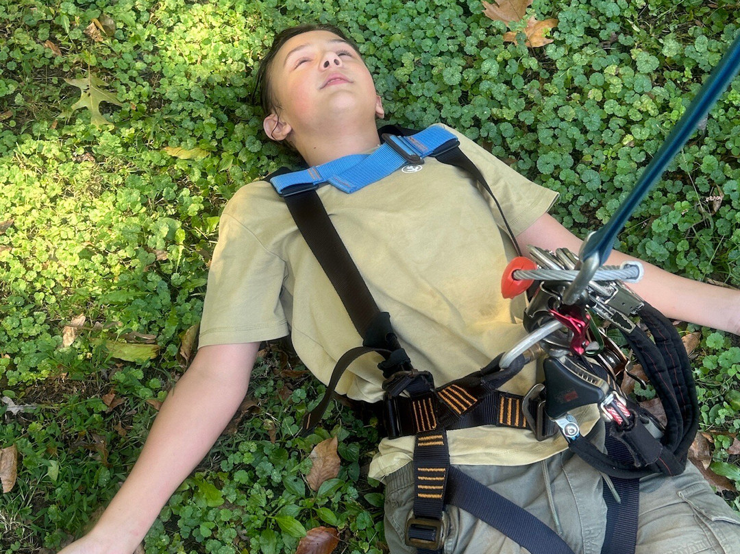 Tree Top Adventures-London必去景点