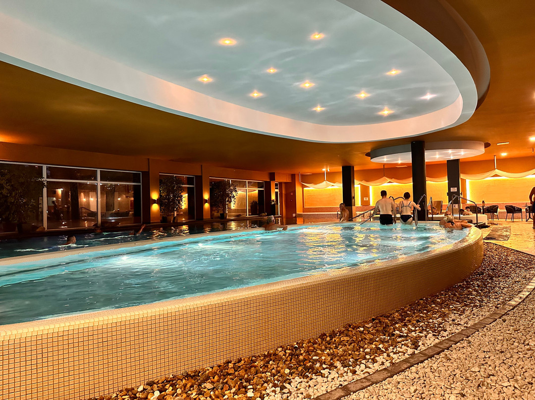 Hunguest Szeged (ex Forras)主图