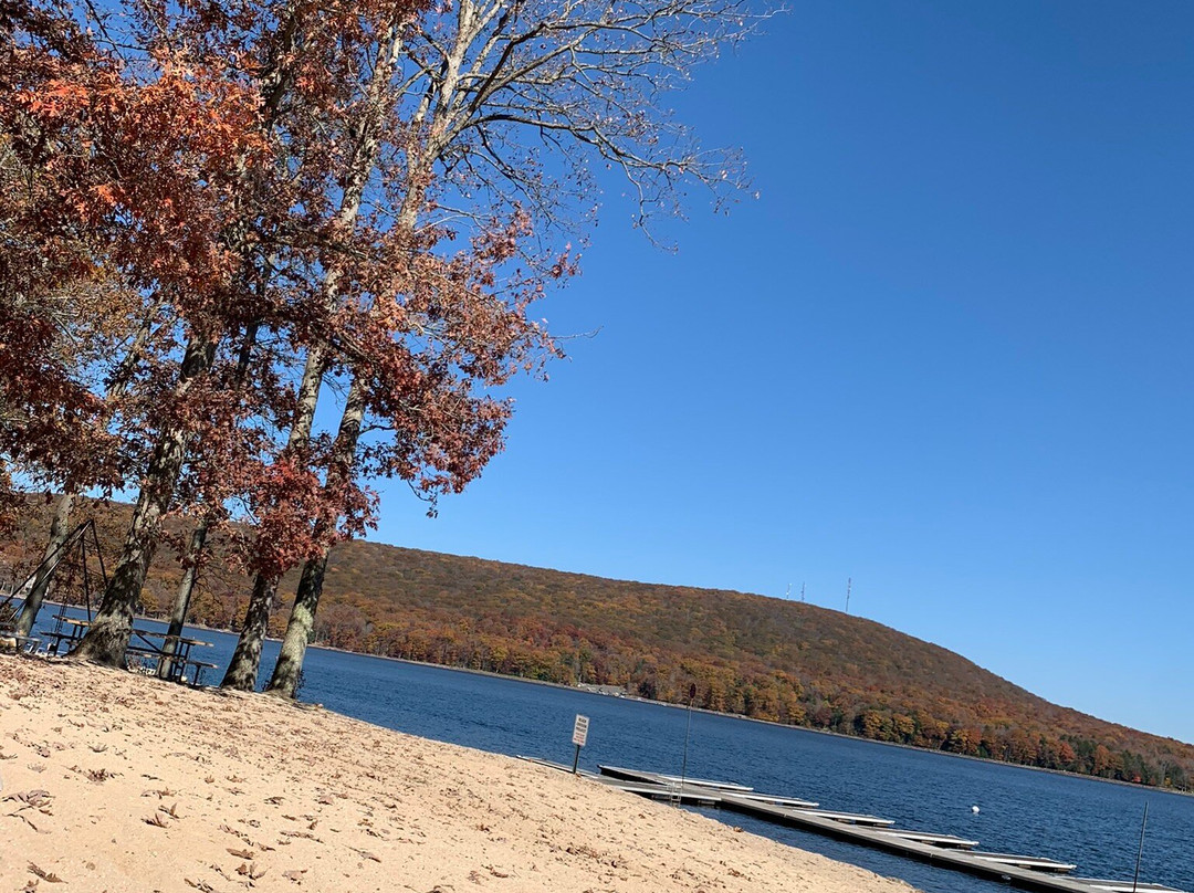 Will O' the Wisp主图